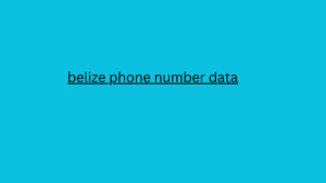 belize phone number data 