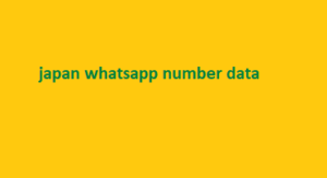 japan whatsapp number data